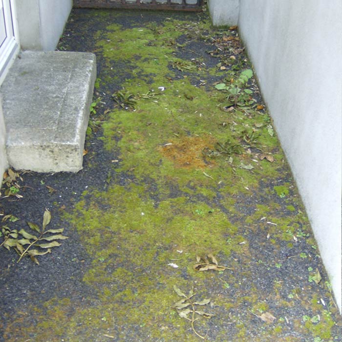 pressure washing services dublin
